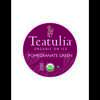Teatulia Organic Teas Pomegranate Green Iced Tea, PK24 IT-POGR-24